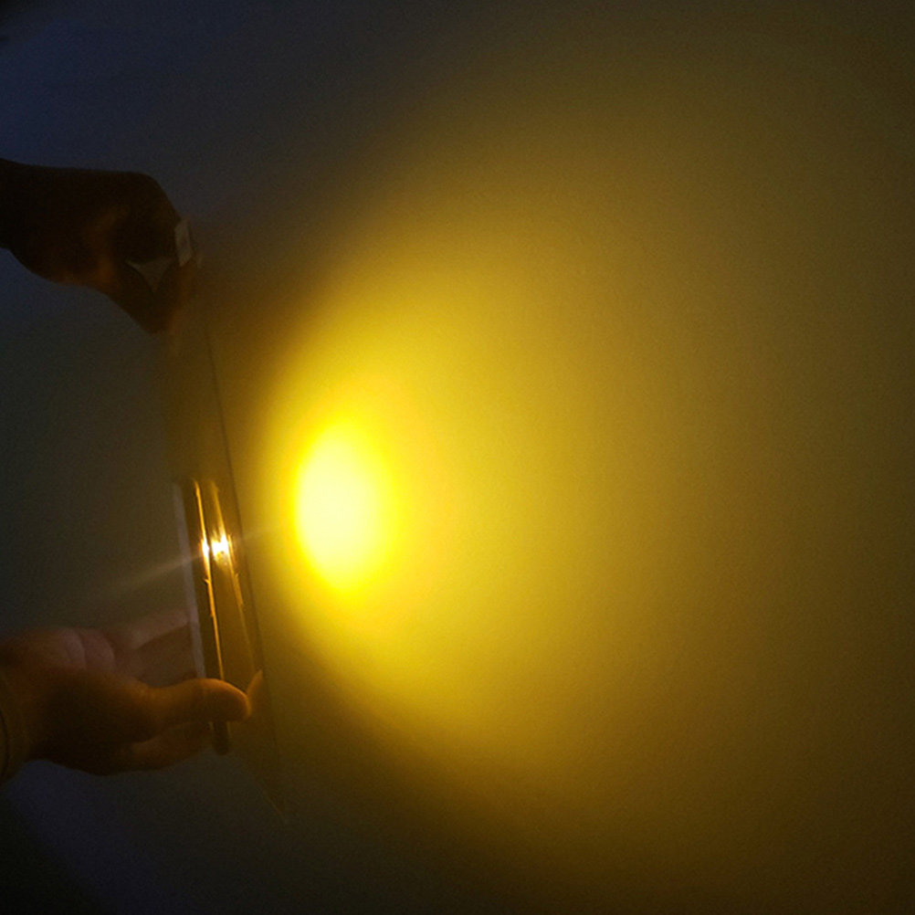 Lighting Effect In Photography - Pet Overlay Transparency Film Sunset Effect
